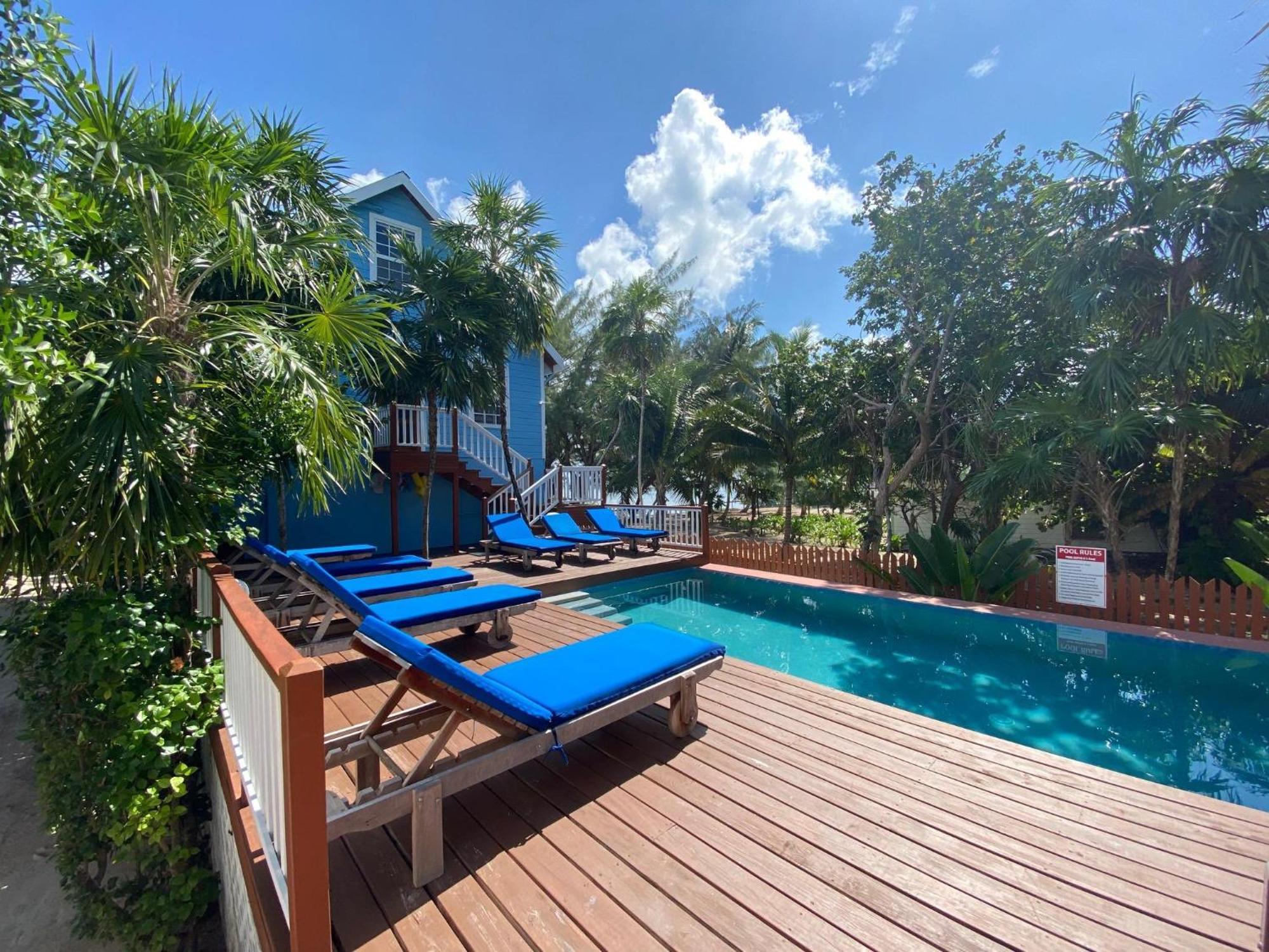 Palmetto Garden Cottage Caye Caulker Extérieur photo